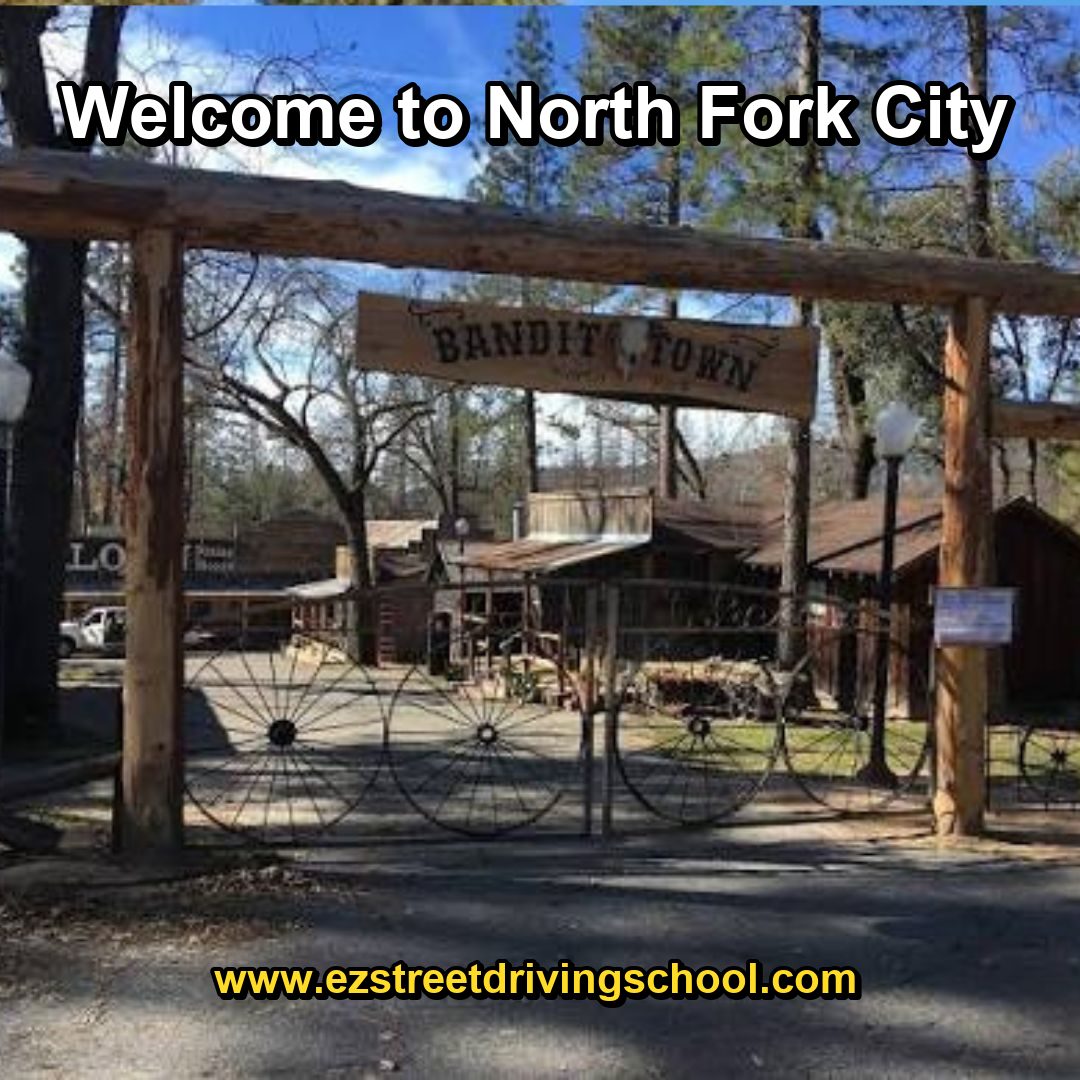 Driving Lessons in North Fork